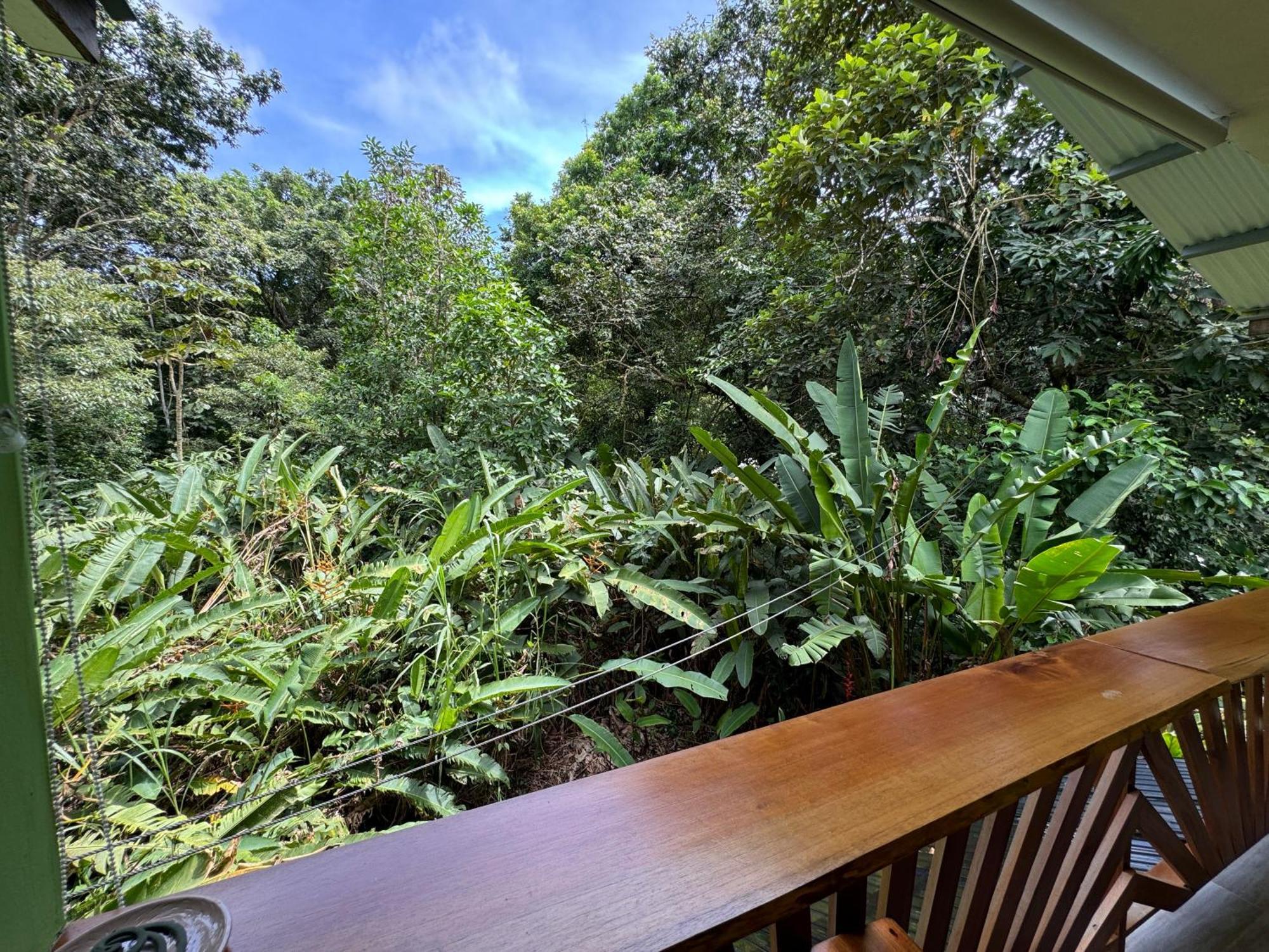 Chilamate Room Tortuguero Exterior photo
